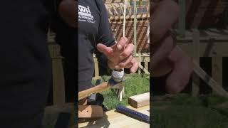 Framing Hammer