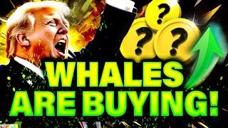 Crypto Market DUMP? - Smart Whales are Buying THESE 3 ALTS!