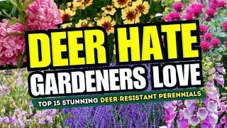  DEER HATE, GARDENERS LOVE! Top 15 Stunning Deer-Resistant Perennials! 