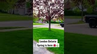 London Ontario… spring is here … awesome weather…. Beautiful nature….