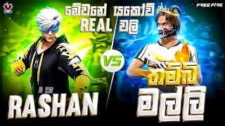 RASHAN Vs තම්බි මල්ලි | REAL වලි