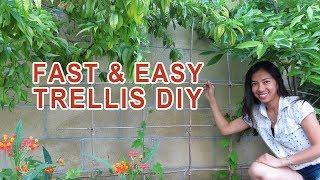 Easy fast Trellis DIY (No Skills Required)