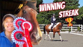 WINNING STREAK | My Horse just keeps getting better