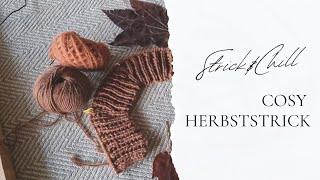 Mein neues herbstliches Strickprojekt