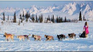 Alaska Iditarod Ceremonial Start