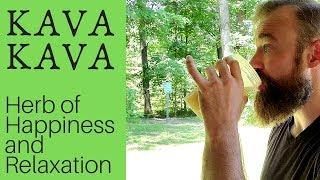 KAVA KAVA: The Herb of Happiness and Relaxation (Complete Review)