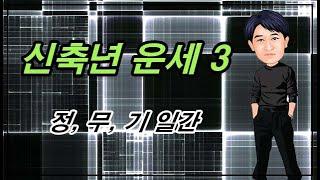 신축년 운세 3 - 정, 무, 기 일간