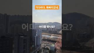 내 사랑 어디쯤 왔나요? 기다리다 목빠져유 #내사랑지금어디 #김용빈 #미스터트롯 #shorts #트로트