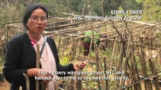 Planting a Future the WeForest Way