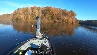 Bass Fishing at Turkey Creek Mississippi