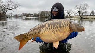 The Carpy Cast - 09-02-2023 - Ice-cold 23kg common carp, carp stocking and maintenance work!