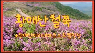 황매산 철쭉 오토캠핑 | 황매산 철쭉 | 황매산미리내파크오토캠핑장