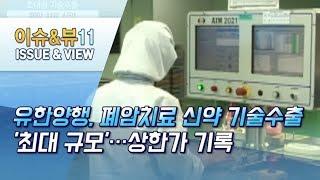 유한양행, 폐암치료 신약 기술수출 '최대 규모'…상한가 기록 / 머니투데이방송 (뉴스)