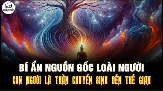 Con người đều là THẦN CHUYỂN SINH ĐẾN THẾ GIAN? - Bí Ẩn Nguồn Gốc Loài Người