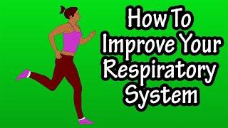 How To Improve Your Respiratory System - Improve The Health And Fitness Of Your Respiratory System