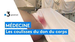 Médecine : les coulisses du don du corps à la science