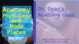 Anatomy Physiology and Body Planes and Terminology