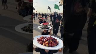 Najaf To Karbala Walk | Arbaeen Walk | Safar E Ishq | Arbaeen | 2024 / 1446H #karbala #iraq #najaf