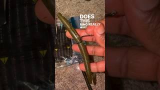 How to save baits while using a wacky rig. #thecsickfisherman #fishing #tips