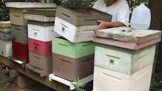 Late Summer Hive Work I= step by step