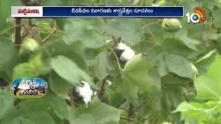 Matti Manishi Full Episode | మట్టి మనిషి | Agriculture Tips | 04-09-2024 | 10TV Agri