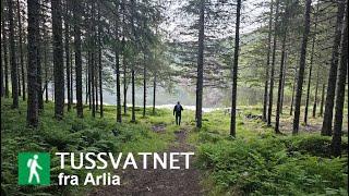 Midnight hike to Tussvatnet, Bodø municipality