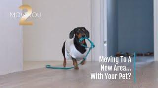 Safety Tips When Moving With Your Pet with Kirk Rickman and Victoria Carter, Century 21 Brighton