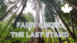 Fairy Creek: The Last Stand (Documentary Film)