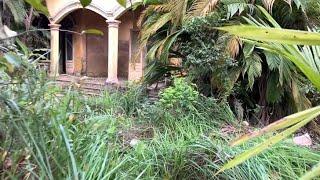 SHOCK TRANSFORMATION Overgrown lawn and garden - Cleaning up the abandoned Storm House area