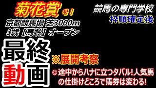 【菊花賞2024】展開考察付き最終動画 タバルを捕まえにかかる人気馬達のタイミングで馬券が変わる