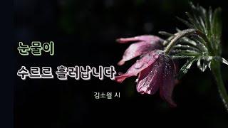 [시낭송] 눈물이 수르르 흘러납니다 - 김소월 시/ 낭송, 영상: 김명애