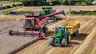 Case IH 5140 Axial Flow & John Deere 9680WTS cutting Winter Wheat (4K)