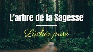 Méditation | L'arbre de la Sagesse | Lâcher prise, État Dépressif, Anxiété, Stress