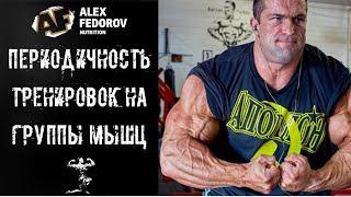 Периодичность тренировок на группы мышц / Frequency of training for muscle groups