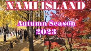 Beautiful Autumn Leaves in NAMI ISLAND South Korea // Autumn Season 2023  #namiisland