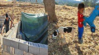 Buying a block and cooperating with Masoud and Zahra in building a cottage