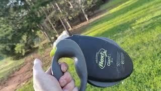 Flexi Giant L Retractable Dog Leash Review