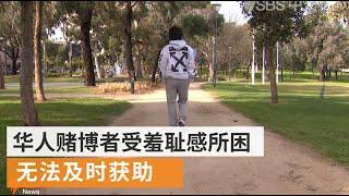 华人社区赌博成瘾者不善求助  澳洲政府出台更多志愿互助项目 | SBS中文