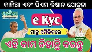 PM Kisan Online eKyc Complete Process 2024 || Kalia Yojana eKyc Complete  Process 2024