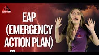 Emergency Action Plan Training Video: Prepare for Workplace Emergencies