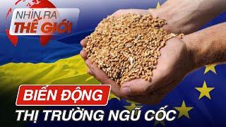 Xuất khẩu ngũ cốc: Ukraine gặp Trở Ngại, Nga vẫn duy trì Vị Thế