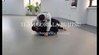 20220814 ShinChonGorilla Sparring : Blue (3Round), White (1Round)