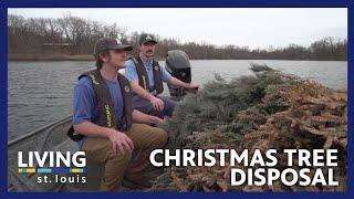 Christmas Trees as Underwater Habitats | Living St. Louis | Nine PBS