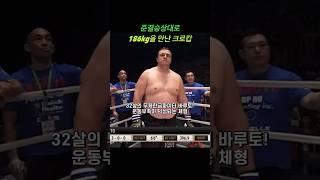 유효타 1대로 상대를 보내버린 42세의 미르코 크로캅 #mma #ufc #crocop