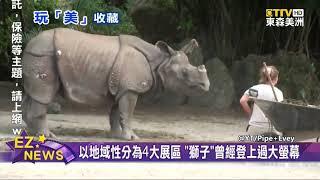 佛州"邁阿密動物園" 全美唯一熱帶動物園/明星動物大解密！"獅子"鬃毛越黑越受歡迎