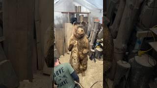 Chainsaw carved bear in the works .