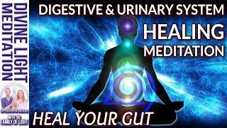 GUT HEALTH MEDITATION~ DIGESTIVE SYSTEM & URINARY SYSTEM HEALING ~ PHYSICAL BODY HEALING - Babaji