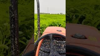 Panjab Farming #newsong #song #punjabisong #punjabi #music #automobile #redkabaddi #live #shorts