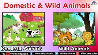 Animal Kingdom ~ Domestic & Wild Animals