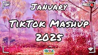 Tiktok Mashup January 2025 (Not Clean)